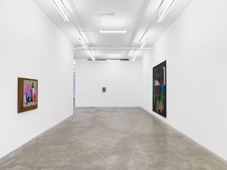 Installation view, A Light Left On In the Hallway, Casey Kaplan · 2026 (6)