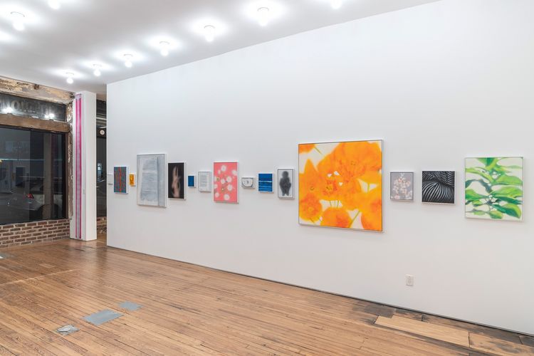 Installation view, More, MARCH · 2025 (14)