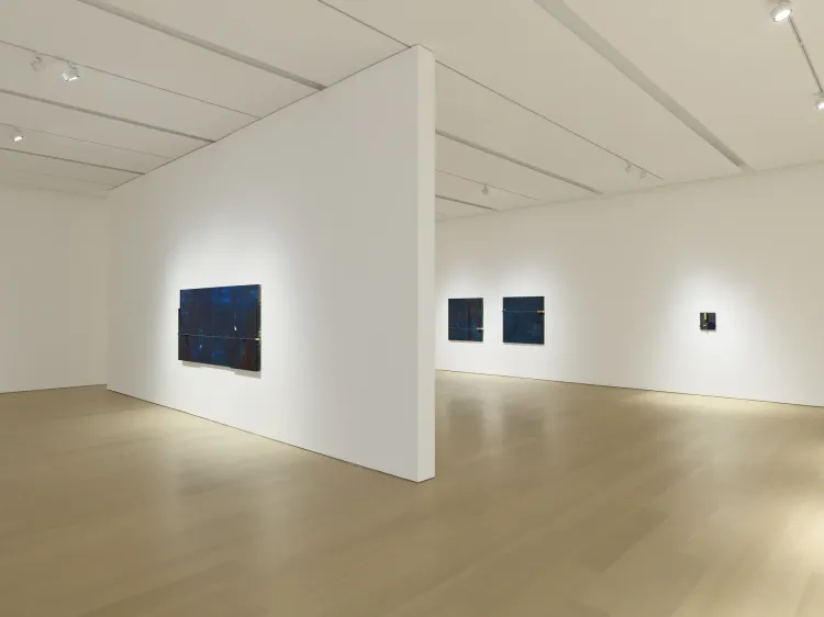 Installation view, Seeing in Blue, PACE · 2026 (4)