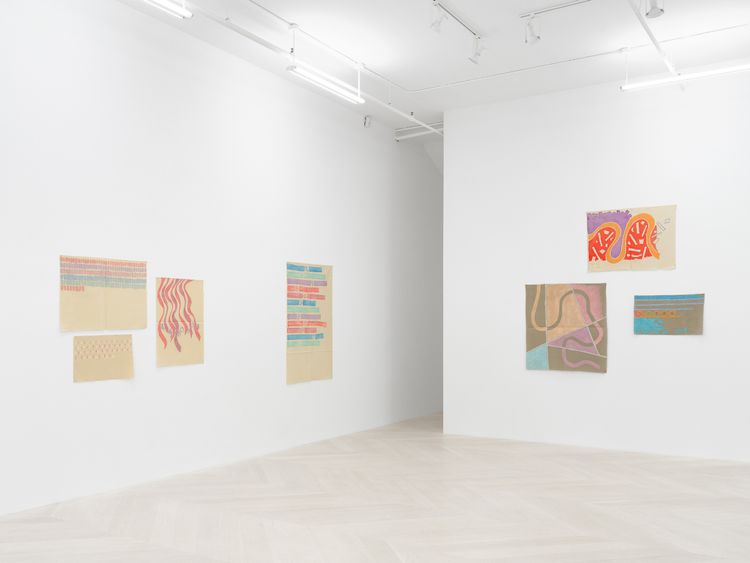 Installation view, Consistently Through Variation, Casey Kaplan · 2025 (1)