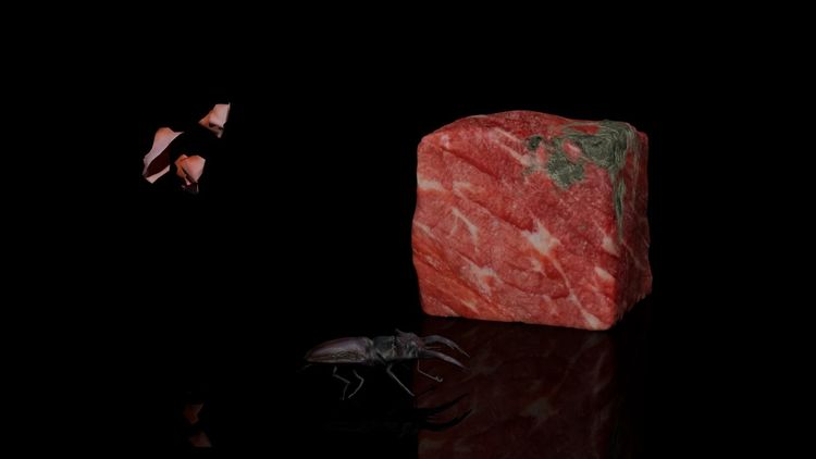 Installation view, Pound of Flesh, Silverlens