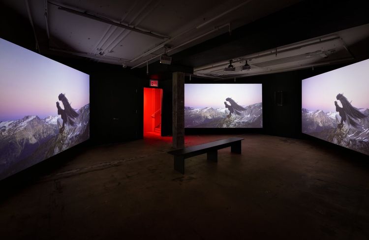 Installation view, Dweller, The Swiss Institute · 2026 (12)