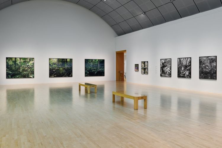 Installation view, The Imaginative Landscape, San Jose Museum of Art · 2025 (1)