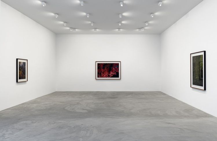 Installation view, Thomas Demand, Matthew Marks Gallery · 2026 (4)
