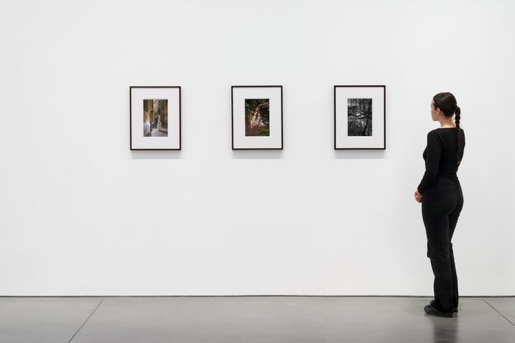 Installation view, Bones in the Canal and Other Photographs, David Kordansky Gallery, Chelsea · 2026 (14)