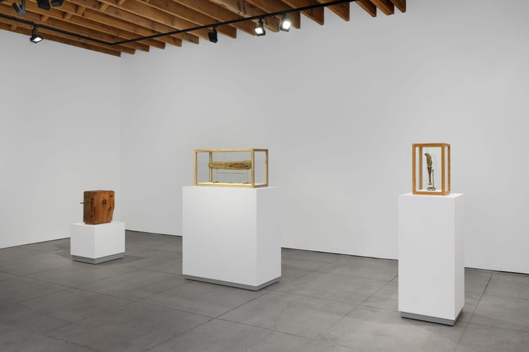 Installation view, Well, Fernberger Gallery · 2026 (3)