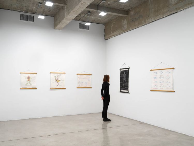 Installation view, Mark Dion, Tanya Bonakdar Gallery, New York · 2026 (1)