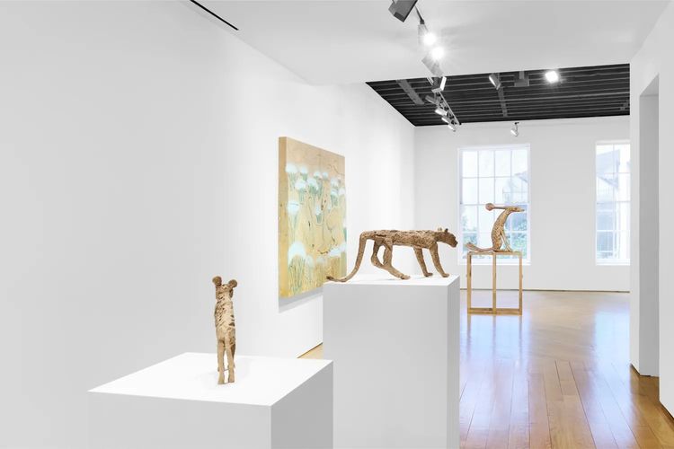 Installation view, Lin May Saeed, Anton Kern Gallery · 2026 (2)