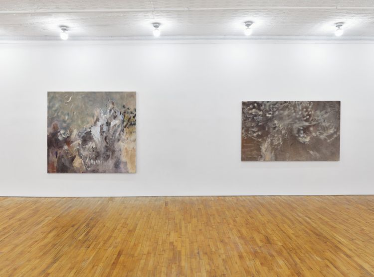 Installation view, Swallow the Ground, Tara Downs · 2026 (8)