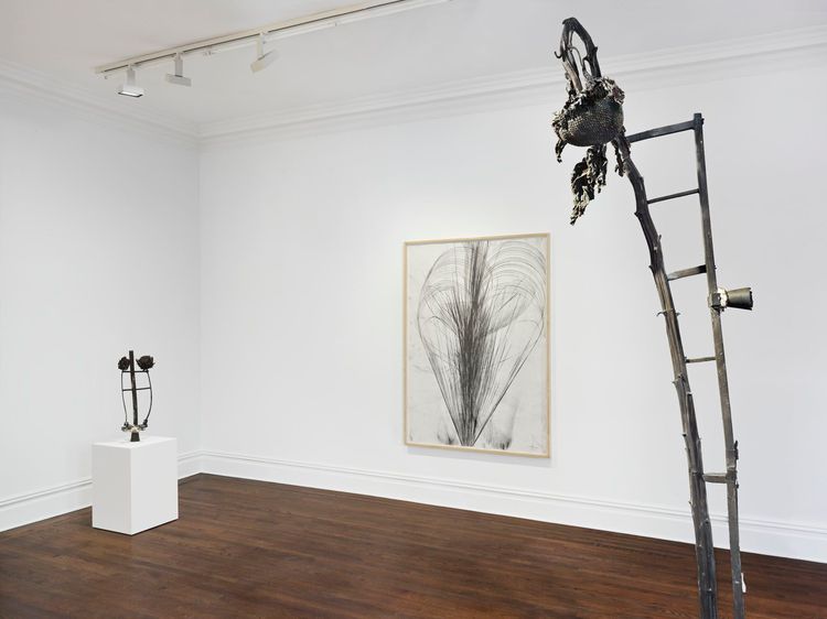 Installation view, Atropa, Sprüth Magers, New York · 2026 (3)