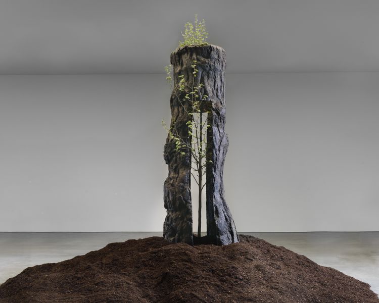 Installation view, The Reflection of Bronze, Gagosian, 555 24th Street · 2026 (12)
