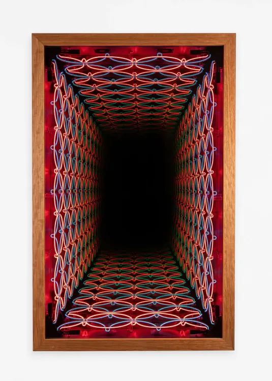 Installation view, Light Years, Templon