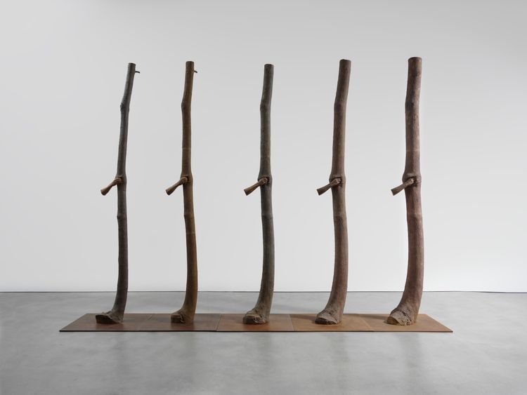 Installation view, The Reflection of Bronze, Gagosian, 555 24th Street · 2026 (13)