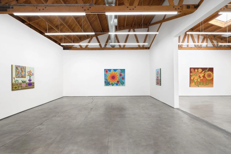 Installation view, Taut, Megan Mulrooney · 2026 (12)