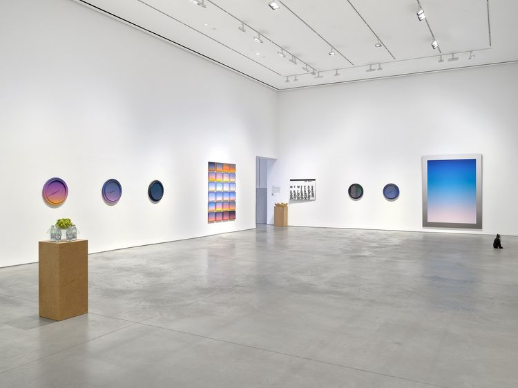 Installation view, Skyscapes, 303 Gallery · 2026 (11)