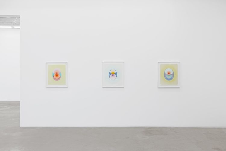 Installation view, The Drops, Luis De Jesus Los Angeles · 2026 (7)