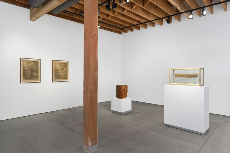 Installation view, Well, Fernberger Gallery · 2026 (4)