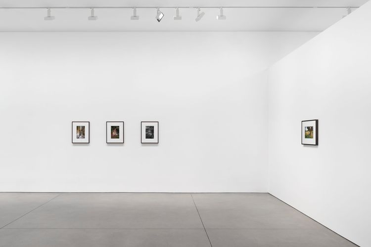 Installation view, Bones in the Canal and Other Photographs, David Kordansky Gallery, Chelsea · 2026 (7)