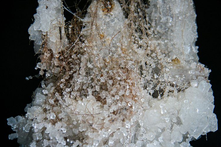 Installation view, And Never Ends, Fulcrum Arts · 2026 (4)