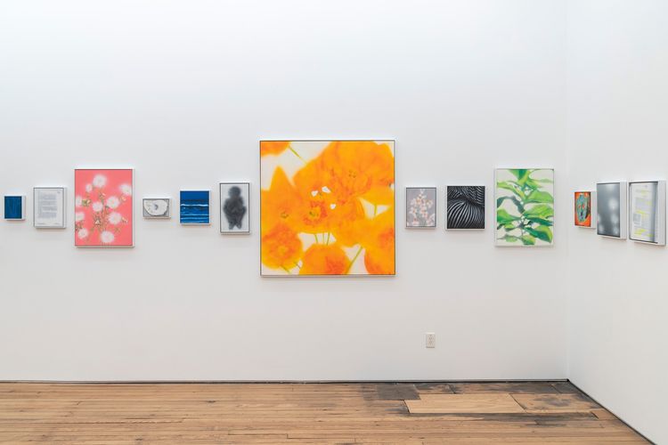 Installation view, More, MARCH · 2025 (6)