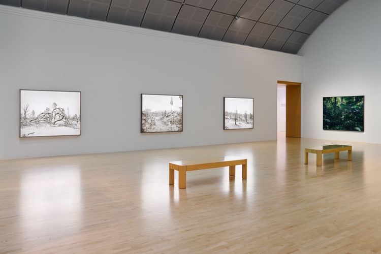 Installation view, The Imaginative Landscape, San Jose Museum of Art · 2025 (6)