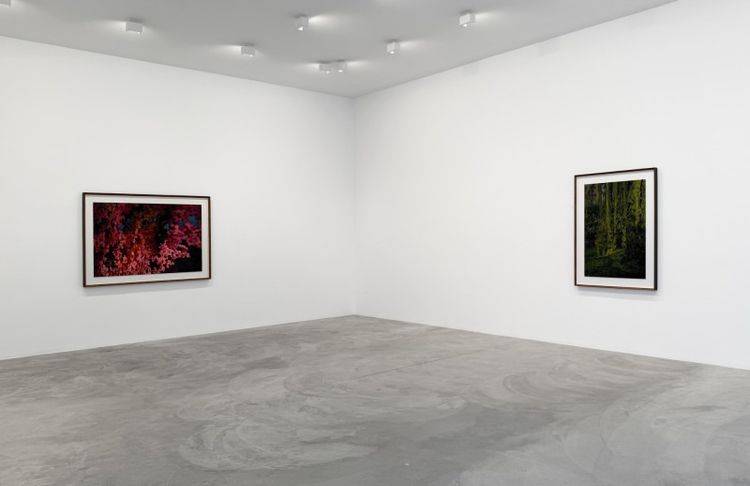Installation view, Thomas Demand, Matthew Marks Gallery · 2026 (2)