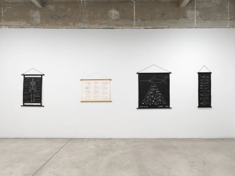 Installation view, Mark Dion, Tanya Bonakdar Gallery, New York · 2026 (3)
