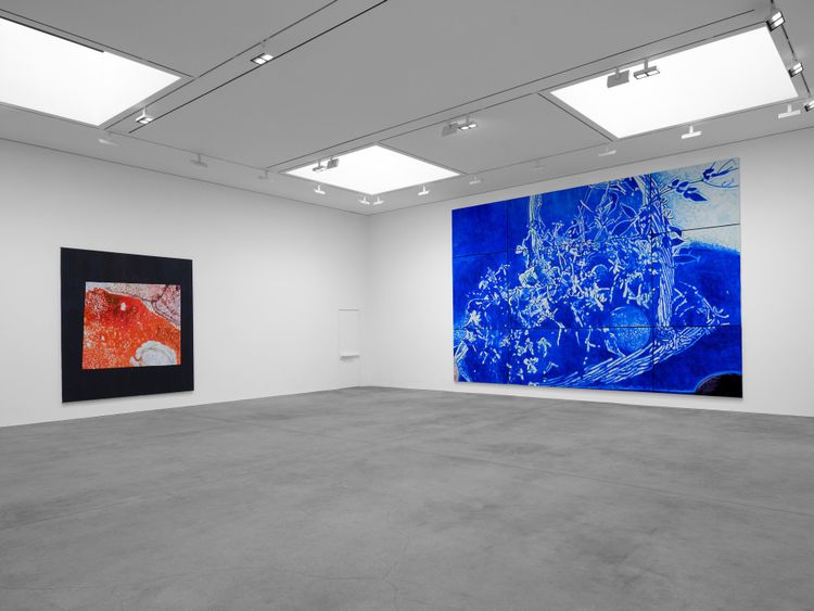 Installation view, The Fruit Basket, David Zwirner · 2026 (12)