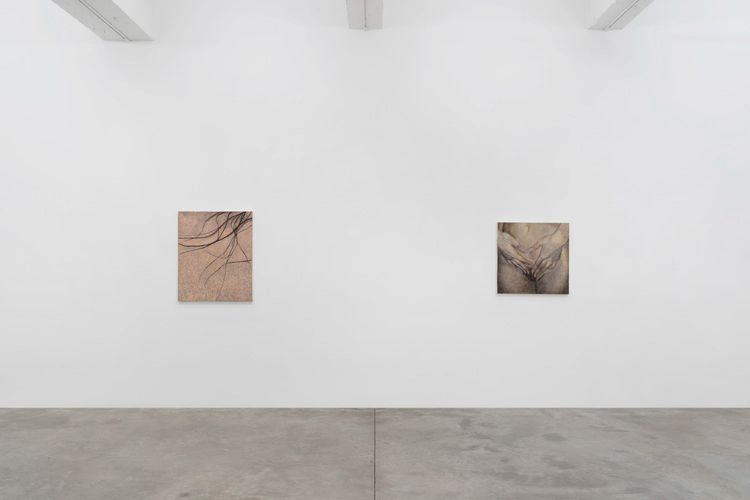 Installation view, Hold Still, Tina Kim Gallery · 2025 (3)