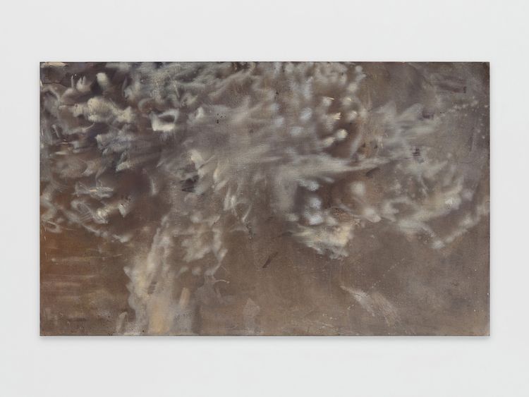 Installation view, Swallow the Ground, Tara Downs · 2026 (13)