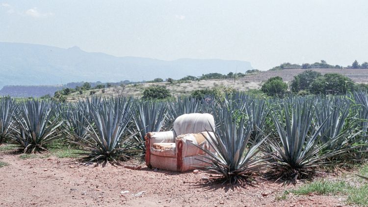 Installation view, As It Was, Not There