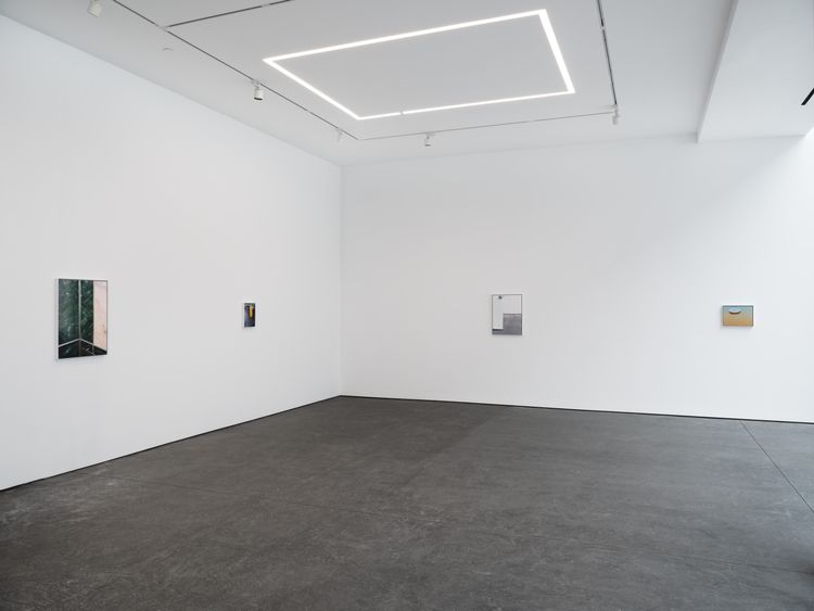 Installation view, Dike Blair, Karma, 549 West 26th Street · 2026 (19)
