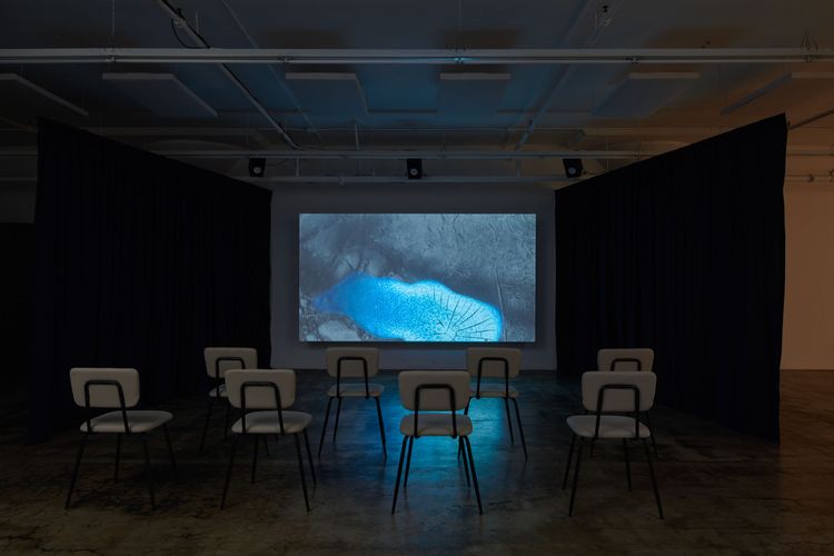 Installation view, The Goal of Our Health, Joan · 2025 (9)