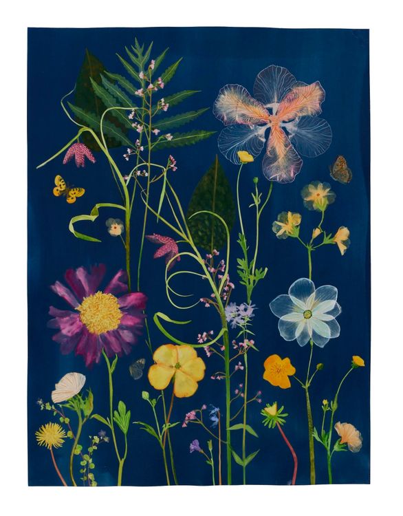 Installation view, Picturesque Botany, Hubert