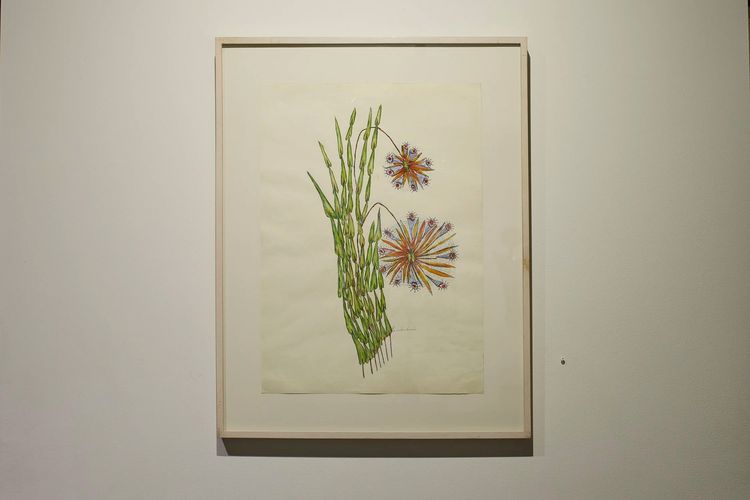 Installation view, Collaging the Visionary, Cavin Morris · 2026 (4)