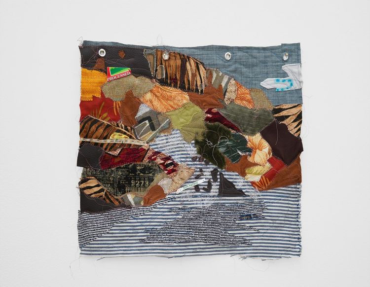 Installation view, Sorri fi maaga dawg, cuz maaga dawg will ton roun bite yu, Andrew Rafacz Gallery · 2026 (16)