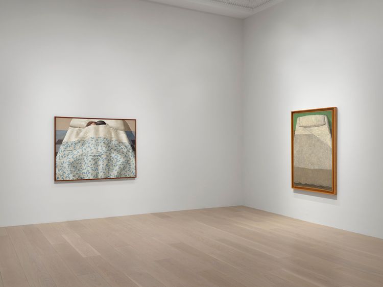 Installation view, The Adventure of Domenico Gnoli, Levy Gorvy Dayan · 2026 (4)
