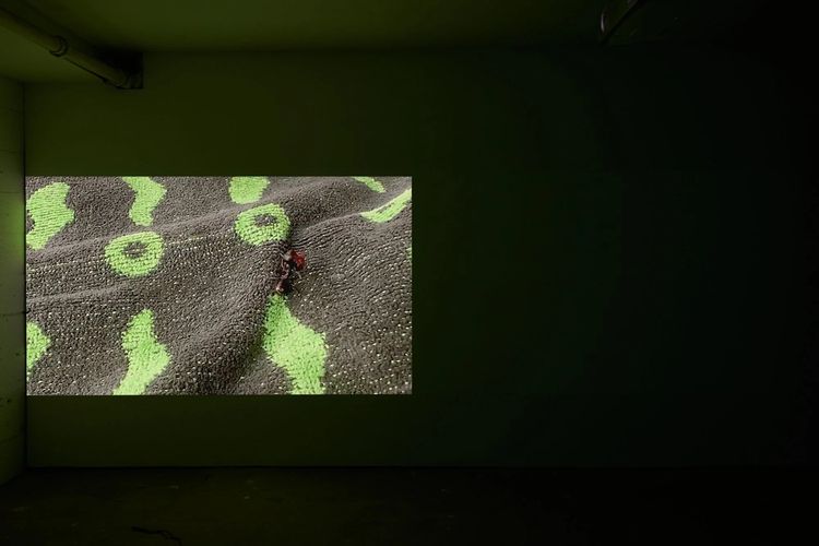 Installation view, Oh, it’s my ass and my anus, Parent Company · 2025 (3)