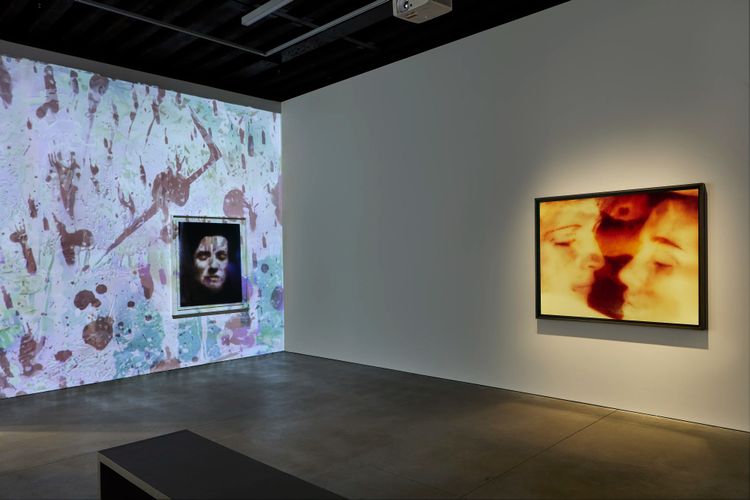 Installation view, On an Overgrown Path, Marian Goodman, New York · 2026 (3)