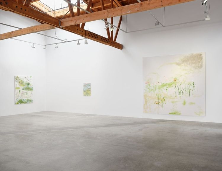 Installation view, Trevor Shimizu, Matthew Brown, NYC · 2026 (2)