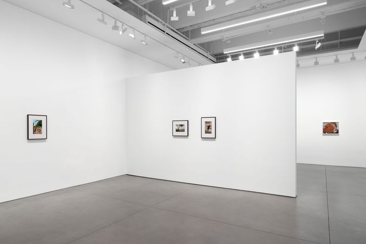 Installation view, Bones in the Canal and Other Photographs, David Kordansky Gallery, Chelsea · 2026 (18)