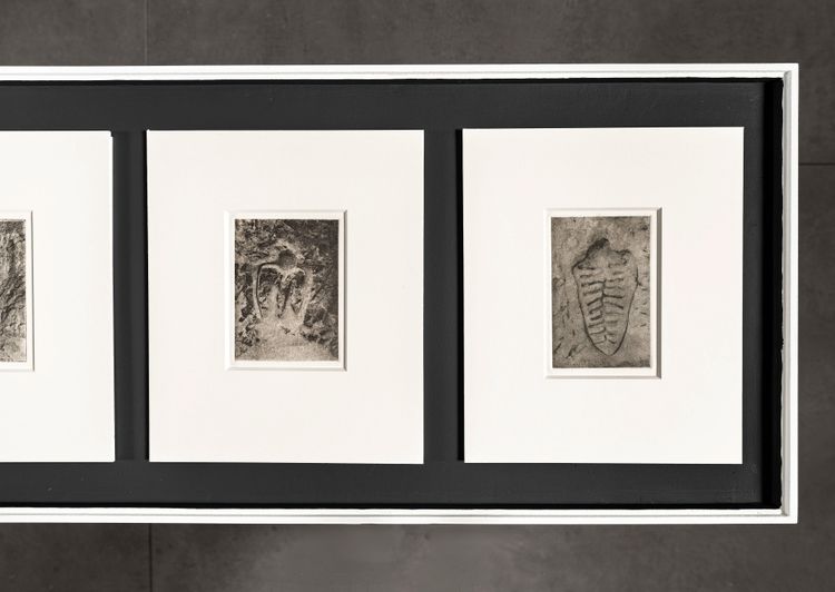 Installation view, Back to the Source, Marian Goodman, New York · 2025 (15)