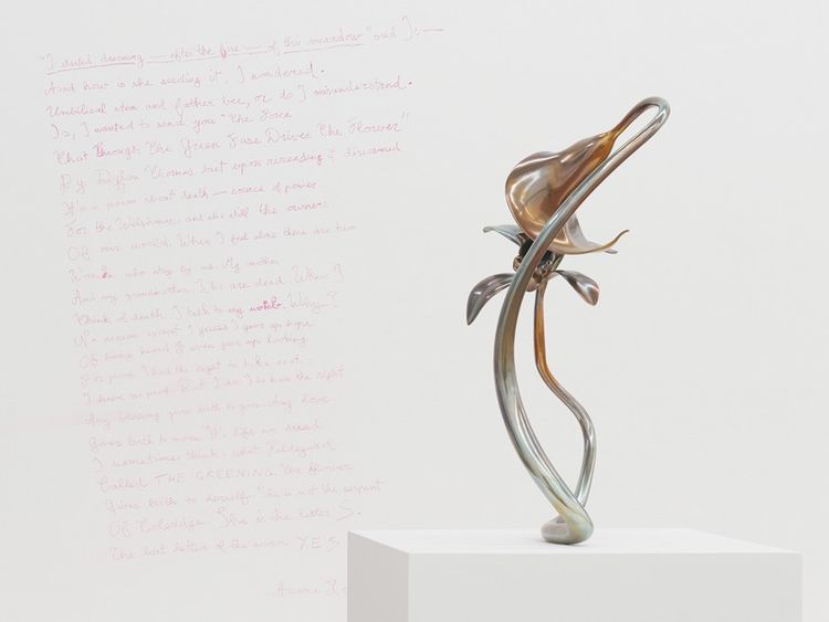 Installation view, Alien Spring, Nicodim · 2025 (2)