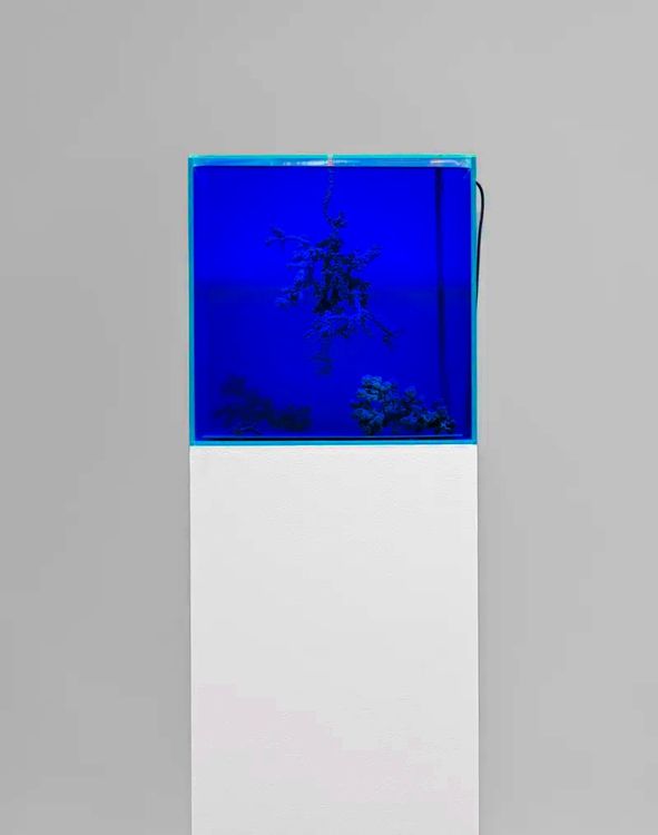Installation view, Recursion, Marian Goodman, New York · 2026 (6)