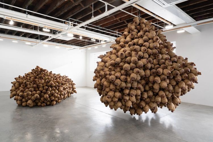 Installation view, In place no, my mouth leaks honey, Carvalho, 110 Waterbury 