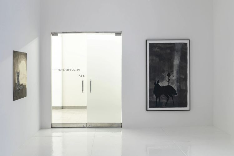 Installation view, Waking Dreams, Planthouse · 2025 (2)