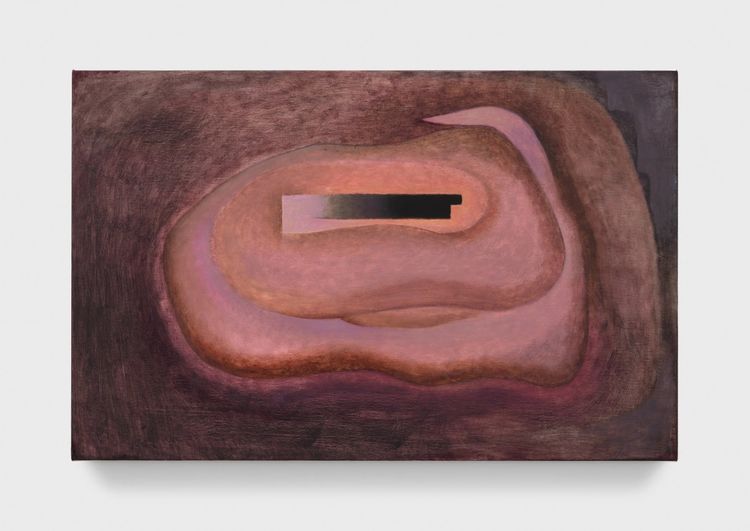 Installation view, Ground for Assumptions, Parrasch Heijnen Gallery