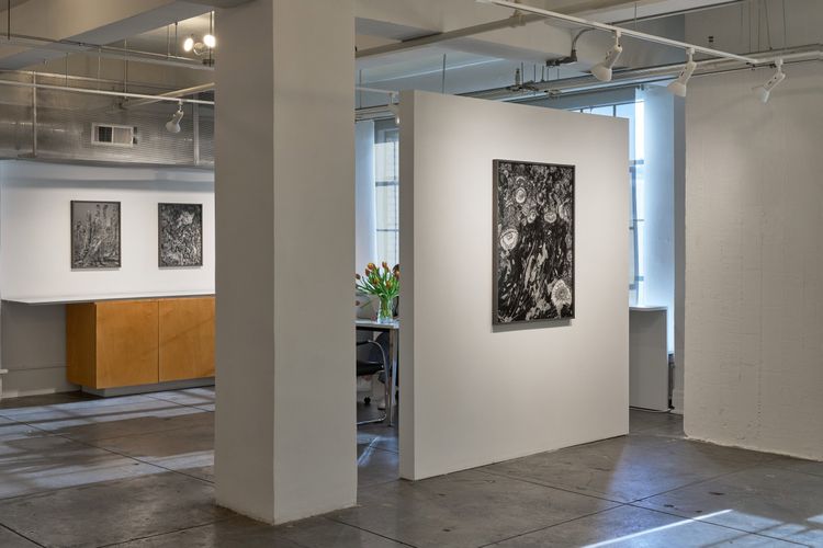 Installation view, Low Tide, Gallery Luisotti · 2026 (10)
