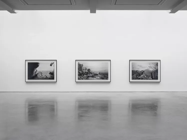 Installation view, Hiroshi Sugimoto, Lisson, 504 W 24th Street