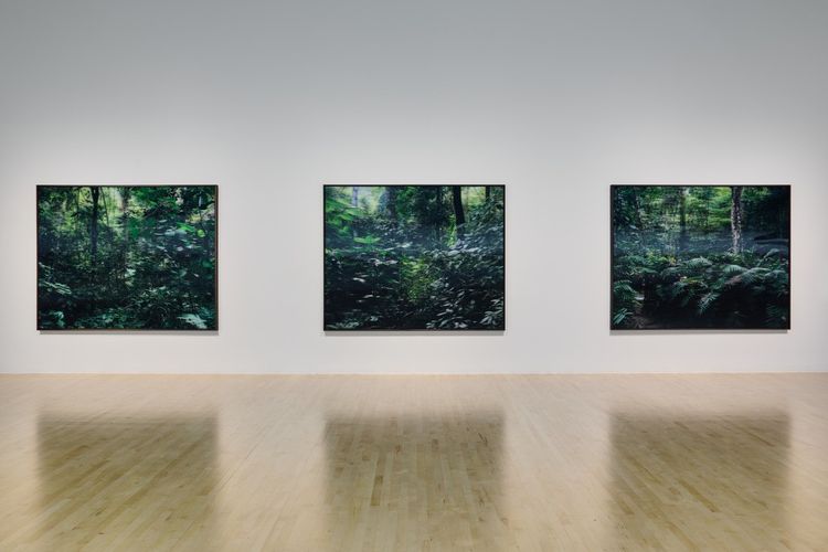 Installation view, The Imaginative Landscape, San Jose Museum of Art · 2025 (5)